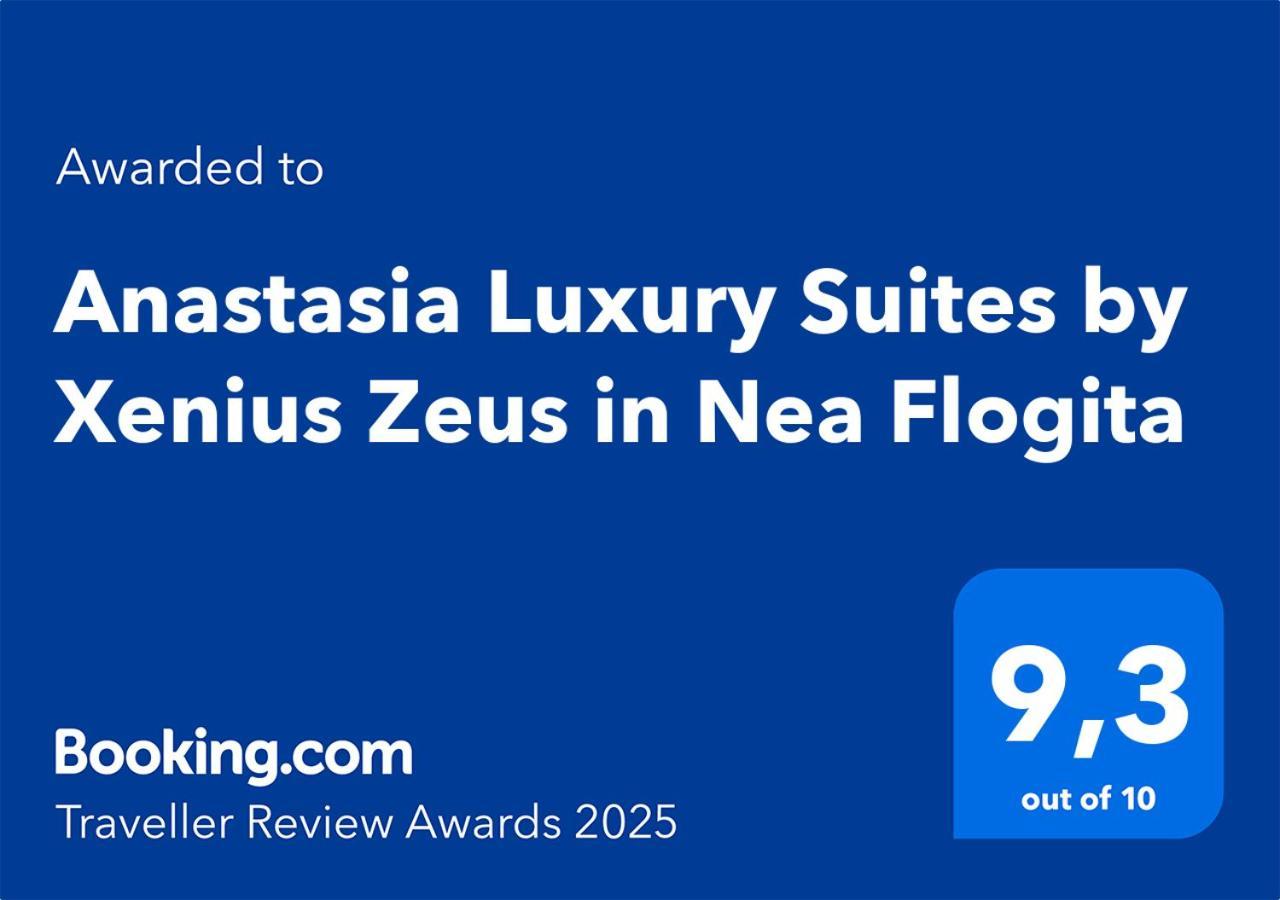 Anastasia Luxury Suites By Xenius Zeus In Nea פלוגיטה מראה חיצוני תמונה